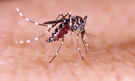 Dengue tipo 3 retorna a Goiás após 17 anos