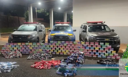 Operação Cerberus apreende produtos contrabandeados em Itumbiara