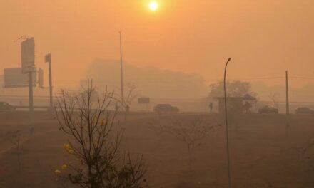 Devastação por incêndios cresceu 79% em 2024 no Brasil