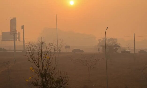 Devastação por incêndios cresceu 79% em 2024 no Brasil