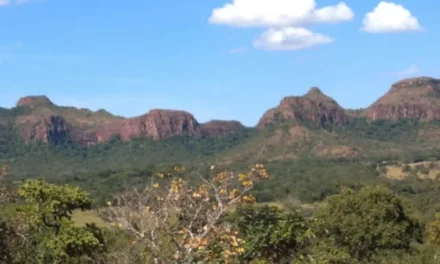 Caiado é eleito representante do bioma Cerrado no consórcio Brasil Verde