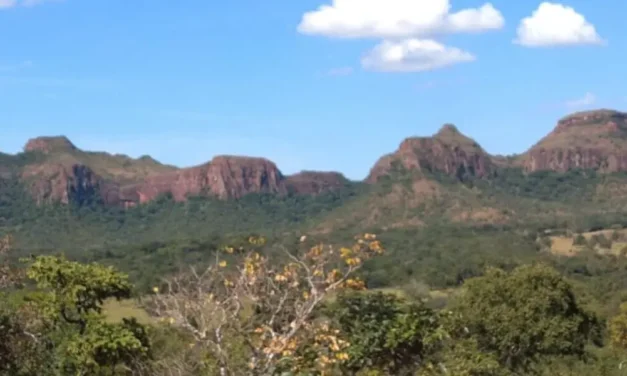 Caiado é eleito representante do bioma Cerrado no consórcio Brasil Verde