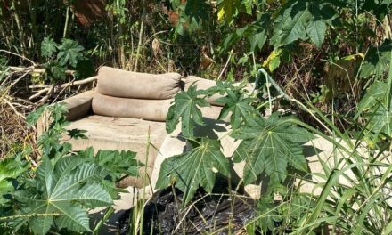 Descarte irregular de entulho em áreas verdes é crime ambiental