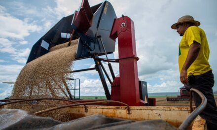Goiás deve colher safra recorde em 2025