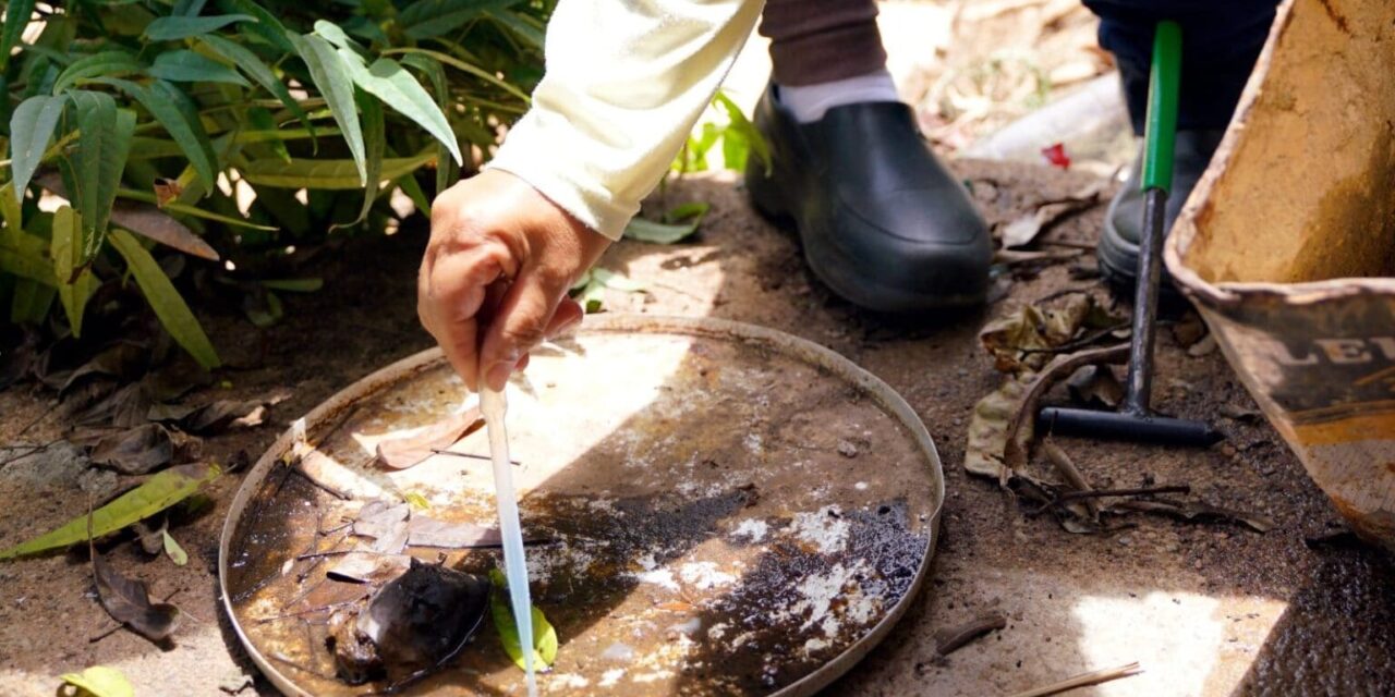 Painel da dengue aponta 28 mortes confirmadas