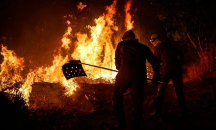 Plano de Prevenção de Desmatamento, Queimadas e Incêndios abre consulta pública